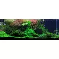 Aqua Rebell MIKRO BASIC Eisenvolldunger [500ml] - naw�z mikroelementowy