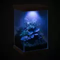 Aquael SELVA Opti mini terrarium 20x20x30cm