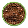 AquaForest Natural Substrate [7.5l] - substrat pod�wirowy