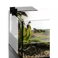 Aquaterrarium Aquael 100cm