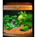 Aquatic Nature Dekoline Sir Lanka 5kg