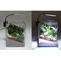Aquatic Nature LED-36 RGB - lampa LED do akwarium max 30cm - bia�a