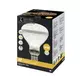 As D3 Uv Basking Lamp 160W E27