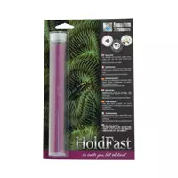 As Holdfast Purple