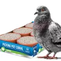 Beyers Picking Pot Coral 5+1 - kostki mineralne dla go��bi