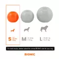BIONIC Pi�ka, gryzak, dla psa, S, 5,8cm