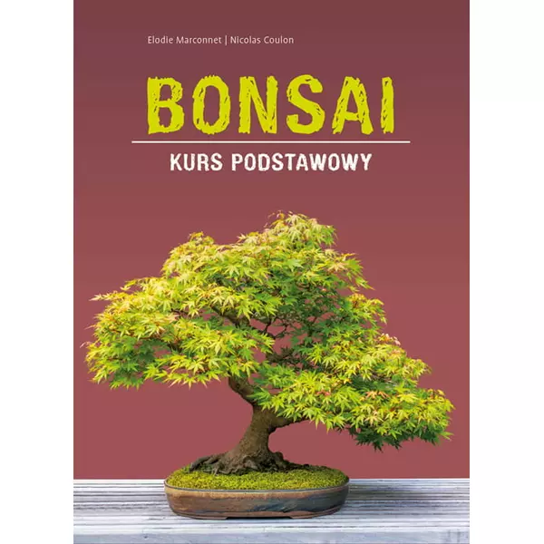 Bonsai - kurs podstawowy