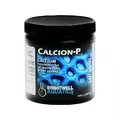 Calcion-P 400g (AQ)
