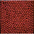 Cichlid Gold Medium 57Gr