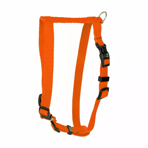 Classic szelki dla psa, pomara�czowe , L-XL, 25mm/75-100cm