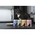Comfy Appetit Premium �oso� Kot 400g