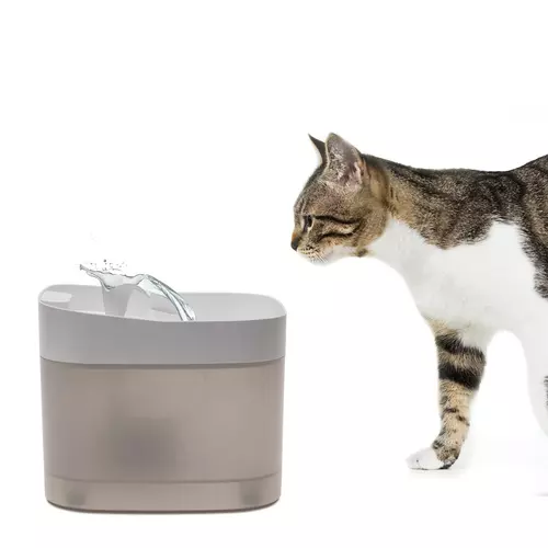 Comfy Poidło Automatyczne Catspring