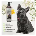 Comfy Szampon Natural Dark 250Ml