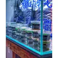 Controsoil 3l Normal pod�o�e japo�skie