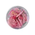 Cryptocoryne balansae Pink - SONGROW (invitro) - RARYTAS
