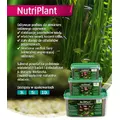 Diversa NutriPlant [10l] - substrat pod�wirowy