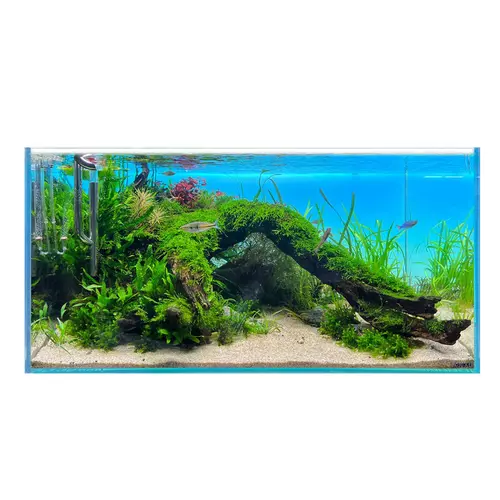 Diversa Panel O�wietleniowy Backlight 60x36cmRgb