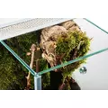 Diversa Terrarium 20x20x30cm PAJ�K 3mm