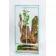 Diversa Terrarium 50x50x100cm 6mm