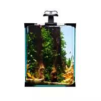 Diversa Zestaw Nano Led 10