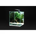 Diversa Zestaw Neo Light 30 - Ro�linne