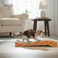 Drapak kartonowy SIMBA