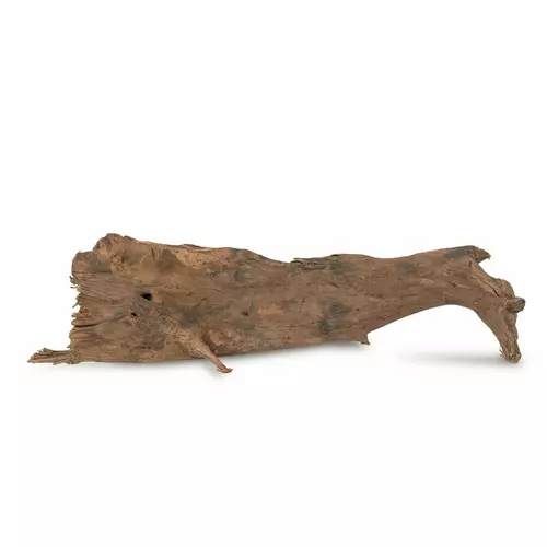 Drewno Brown Core Wood rozmiar XL, 40cm-50cm