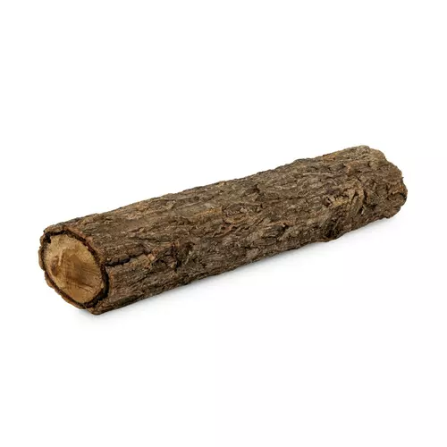 Drewno Champion Tree Trunk 40x15cm
