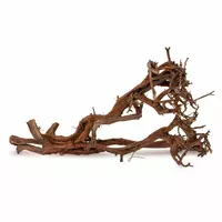 Drewno Satung Wood rozmiar L, 50cm-70cm