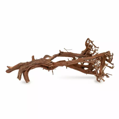 Drewno Satung Wood rozmiar S, 20cm-35cm