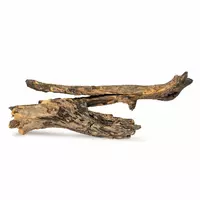 Drewno Slight Wood rozmiar L, 30cm-40cm