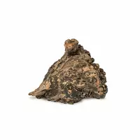 Drewno Slight Wood rozmiar S, 10cm-20cm