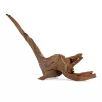 Drzewo Tonące 25-60cm