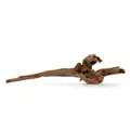 Drzewo Ton�ce 25-60cm