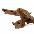 Drzewo Ton�ce 25-60cm