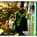 Dyfuzor CO2 NEO Oryginal L [23mm] - akrylowy