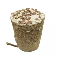 Dzwonek t�uszczowy z larwami m�cznika, z w��kna kokosowego, 250g