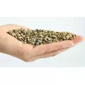 EBI Bio-Active Substrate [3,5l] - substrat pod�wirowy