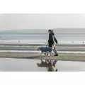 Explore Light p�aszcz, dla psa, S: 35cm, szary