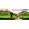 Ferka Aquatilizer [250ml] - naw�z mikroelementowy