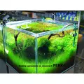 Ferka Aquatilizer [250ml] - naw�z mikroelementowy