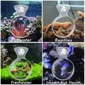 Flipper Deepsee Standard Clear Lupa