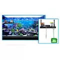 Flipper Tank Buddy