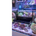 Flipper Tank Buddy