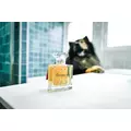 FRANCODEX Perfumy dla psa, bez alkoholu Gourmandise waniliowe 50ml