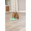 Gra Dla Kr�lika Tablica Z Przysmakami, �r. 20cm