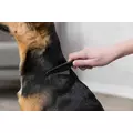 GRZEBIE� PRZECIWPCHELNY 15cm
