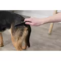 GRZEBIE� PRZECIWPCHELNY 15cm
