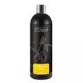 GT Aqua Booster GH [500ml] - mineralizator RO