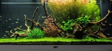 GT Aqua Booster K [5000ml] - naw�z potasowy